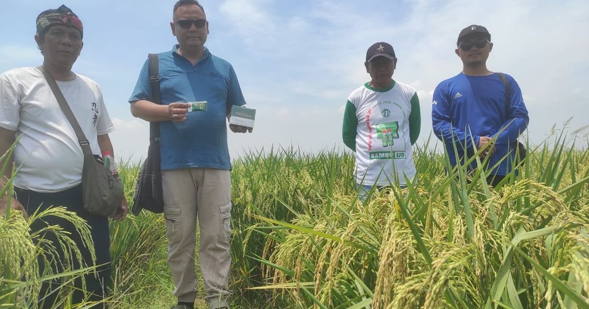 Hadir Di Indonesia, Pupuk Organik Cair Pintara, Berkomitmen Untuk Membantu Program Ketahanan Pangan Presiden Prabowo Subianto