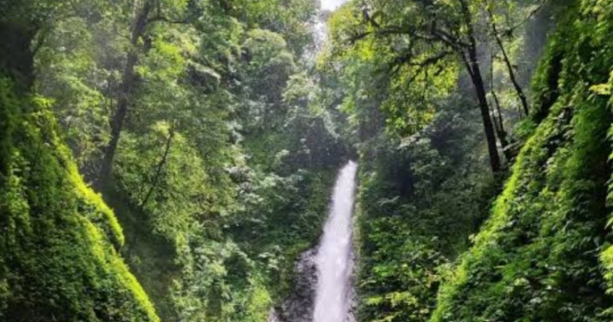 Curug Ngelay, Destinasi Alam Tersembunyi di Sukabumi dengan Akses Tracking yang Menantang