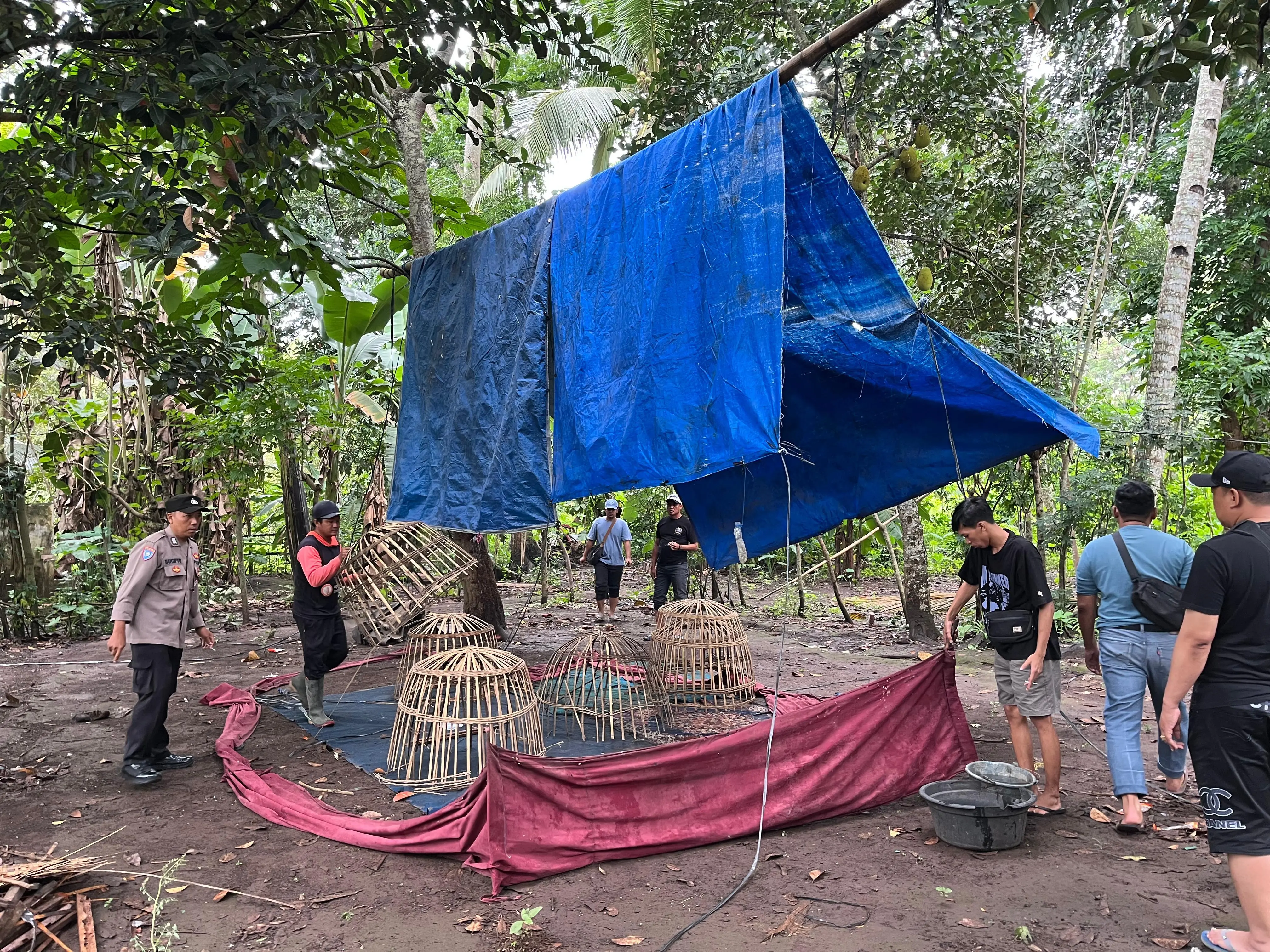 Gerak Cepat Polresta Banyuwangi Merespons Informasi  Warga, Arena Sabung Ayam di Singojuruh Dibongkar